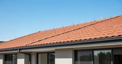 Utiliser des lumières clignotantes pour éloigner les oiseaux de votre toit efficacement
