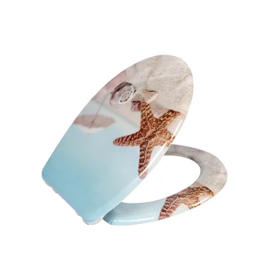 Abattant de toilette résine